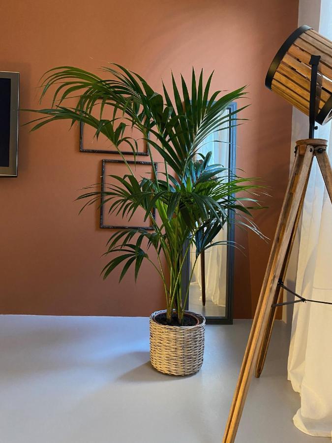 Casimiro Rooms Cesena Dış mekan fotoğraf